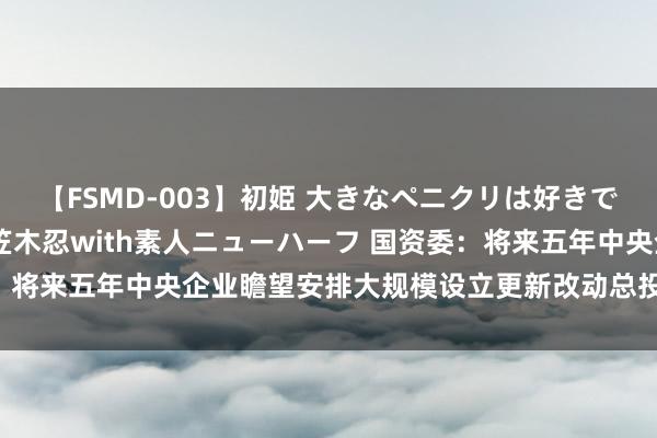 【FSMD-003】初姫 大きなペニクリは好きですか！？ ニューハーフ笠木忍with素人ニューハーフ 国资委：将来五年中央企业瞻望安排大规模设立更新改动总投资超3万亿元