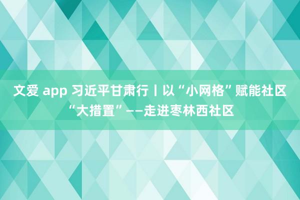 文爱 app 习近平甘肃行丨以“小网格”赋能社区“大措置”——走进枣林西社区